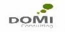 Domi Consulting