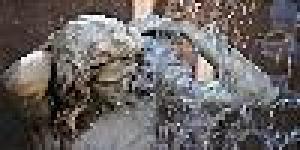 Società Cooperativa Sociale Amenano