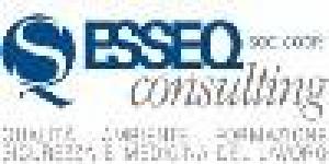 Esse Q Consulting