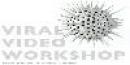 Viral Video Workshop