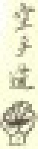 Karate Do Taishin Lodi