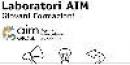Laboratori AIM
