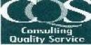 C.Q.S. Consulting Quality Service s.r.l.