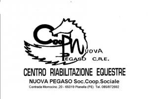 Coop. Nuova Pegaso