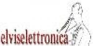 Elviselettronica