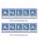 ANESA 