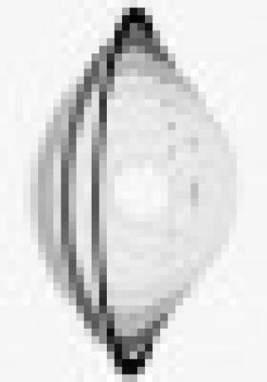 A.SPPe.C.(AssociazioneSociopsicopedagogica eCriminologica)