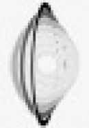 A.SPPe.C.(AssociazioneSociopsicopedagogica eCriminologica)