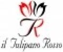 Il Tulipano Rosso