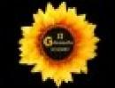 Il Girasole Eventi