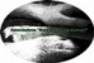 Associazione Rosa Vitillo Pet Therapy