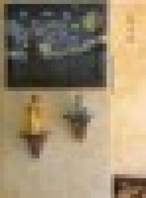 Associazione Culturale il Giardino Interiore