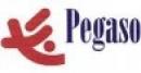 Consorzio Pegaso Network