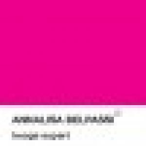 Annalisa Belpassi Image