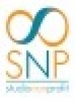 STUDIO NON PROFIT (SNP)