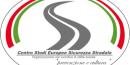 Centro Studi Europeo per la Sicurezza Stradale - European Institute for Road Safety 