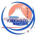 Yoseikan Budo Mantova