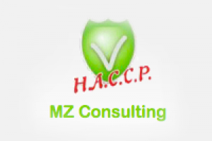 Mz Consulting