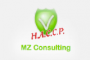 Mz Consulting
