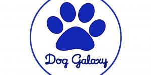 Dog Galaxy Centro Cinofilo