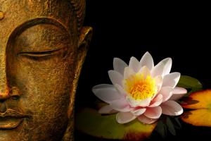 DevaMadre di Elena Vivek Raineri