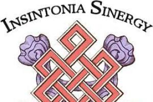 InSintonia Sinergy a.s.d.