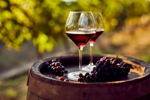 produzione vinicola