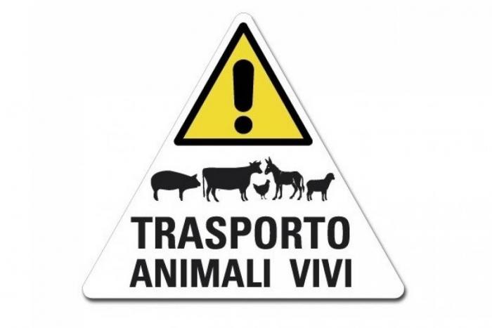 course-premium